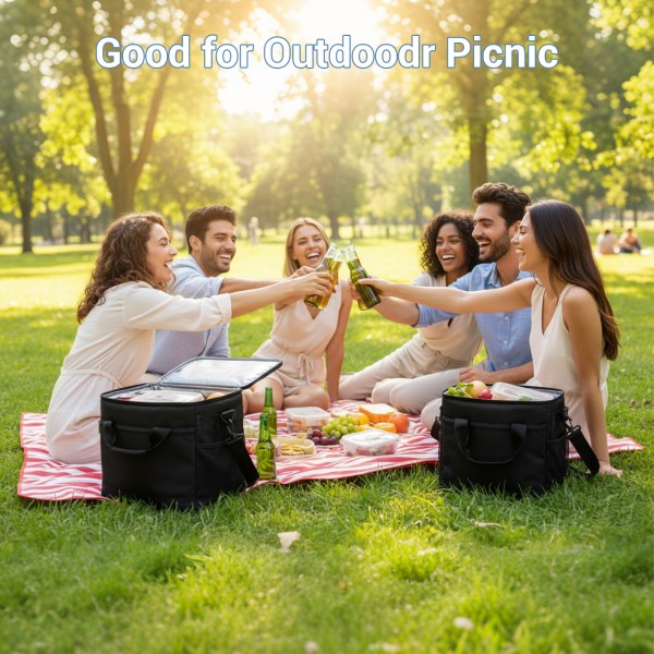 LBK2535S - Kono Small 20L Portable Lunch Bag with Enhanced Insulation–Compact & Convenient for Travel and Commuting - Black