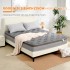 MTS007 - Good Nite 7-Zone Hybrid Pocket Springs Medium-Firm Mattress with 3D Breathable Fabric - 120×190×25cm