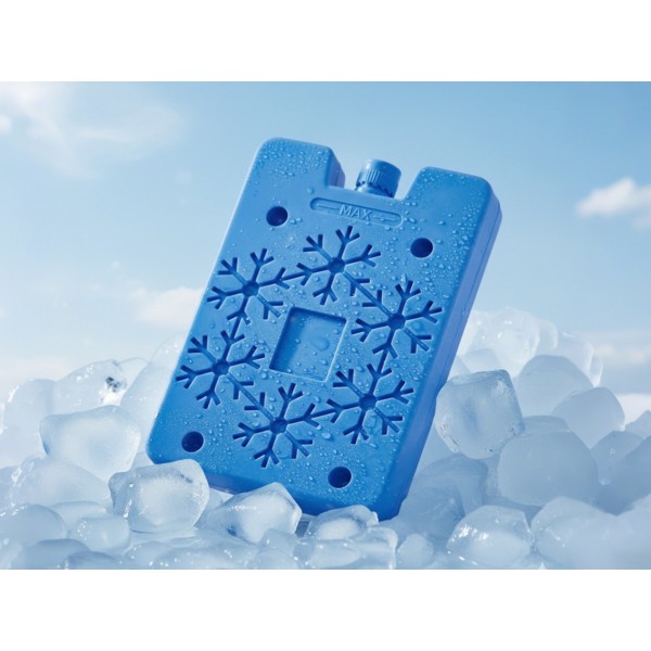 6-pack Reusable Ice Box