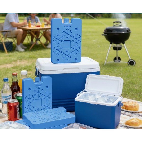 6-pack Reusable Ice Box